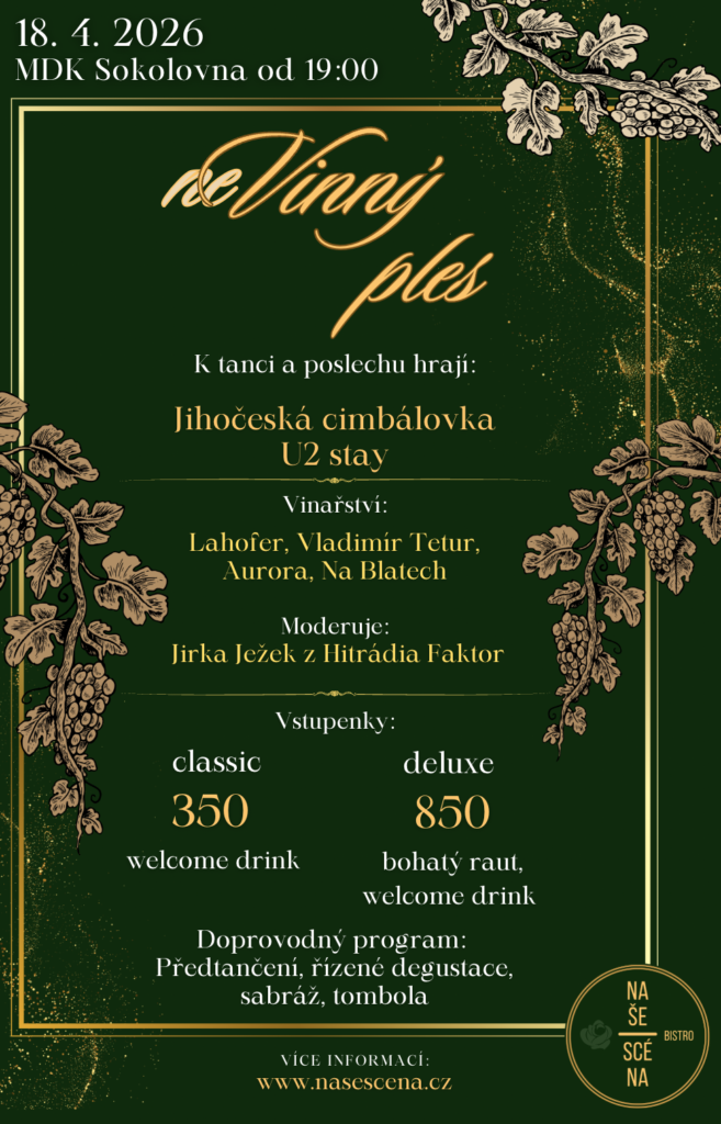 neVinný Ples – plakát